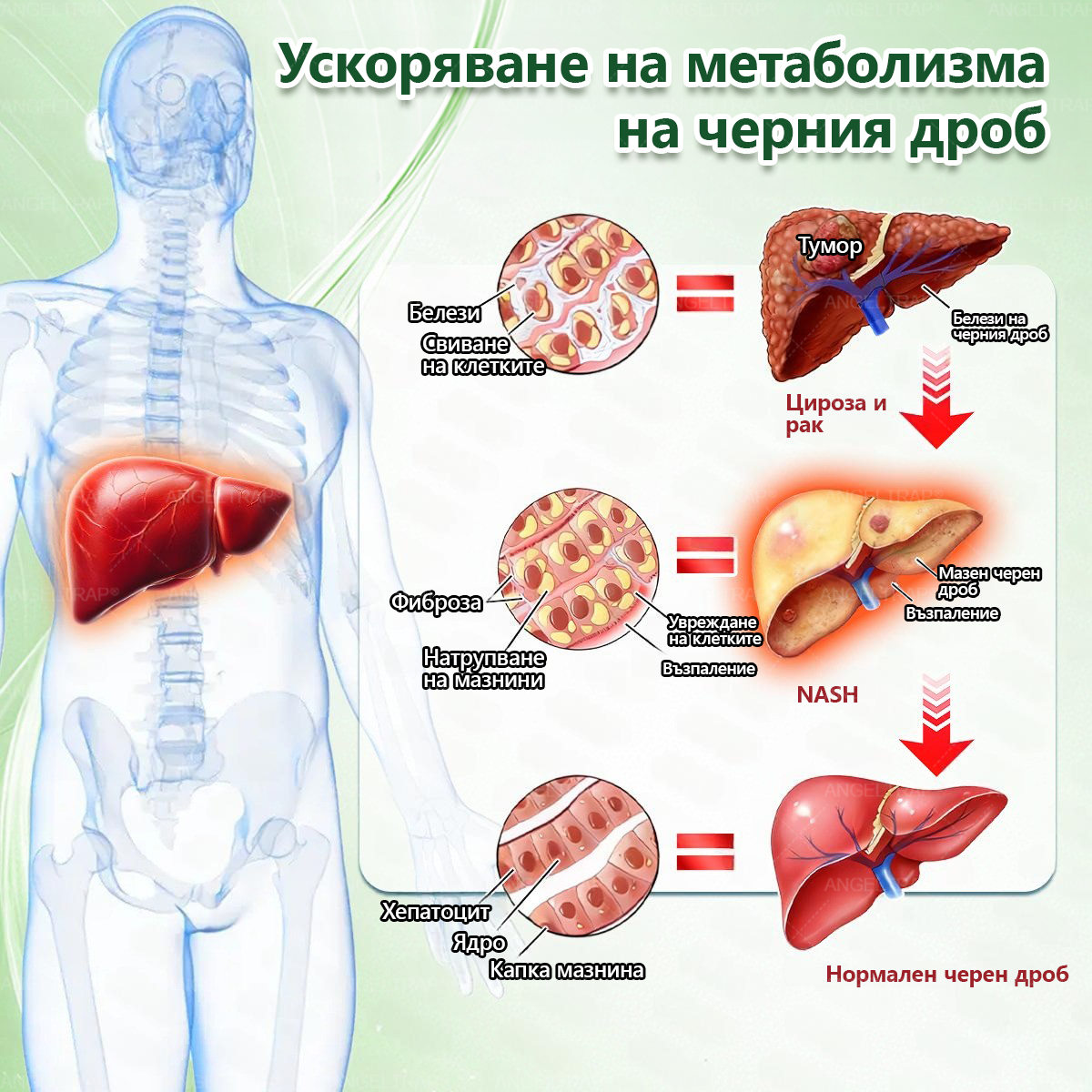 🎁 Остават само 5 кутии! Предлагаме ви допълнителна отстъпка от 50%! Влезте във форма и бъдете здрави. Отслабнете сега, защото няма да имате друг шанс до следващата година.
