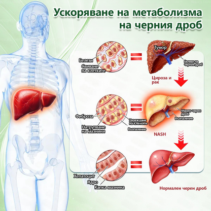 🎁 Остават само 5 кутии! Предлагаме ви допълнителна отстъпка от 50%! Влезте във форма и бъдете здрави. Отслабнете сега, защото няма да имате друг шанс до следващата година.
