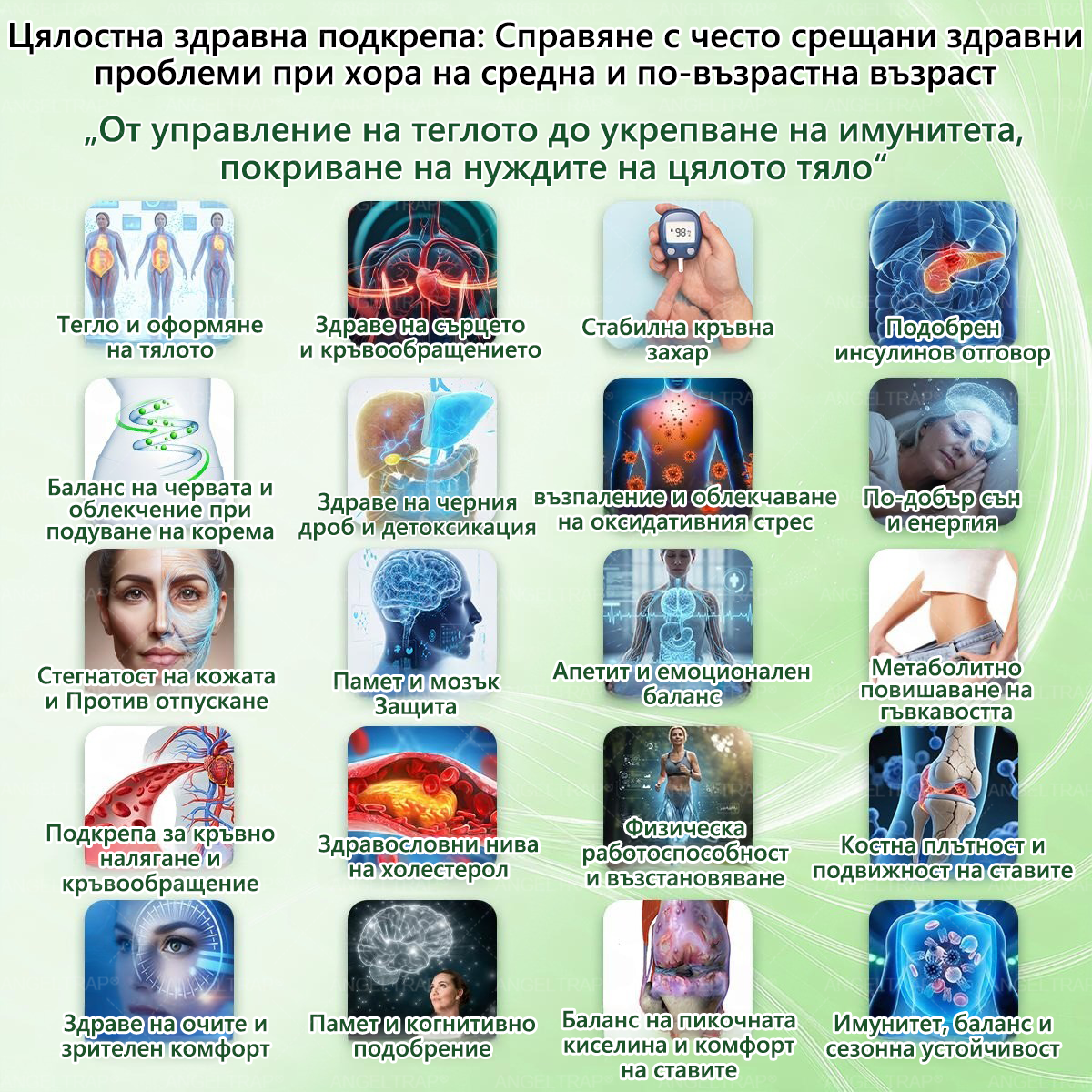 🎁 Остават само 5 кутии! Предлагаме ви допълнителна отстъпка от 50%! Влезте във форма и бъдете здрави. Отслабнете сега, защото няма да имате друг шанс до следващата година.