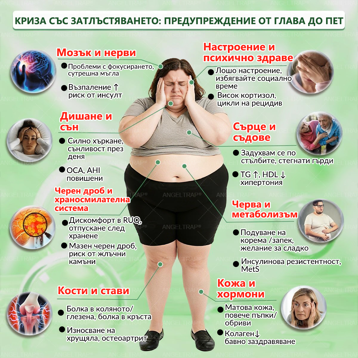 🎁 Остават само 5 кутии! Предлагаме ви допълнителна отстъпка от 50%! Влезте във форма и бъдете здрави. Отслабнете сега, защото няма да имате друг шанс до следващата година.
